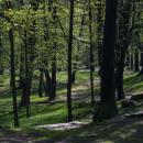 Park Dietla Sosnowiec 093