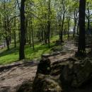 Park Dietla Sosnowiec 095