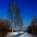 Spacer nad Bobrkiem. - panoramio