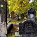 Old Jewish cemetery Sosnowiec Poland 1