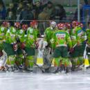 Zagłębie Sosnowiec ice hockey team 2012